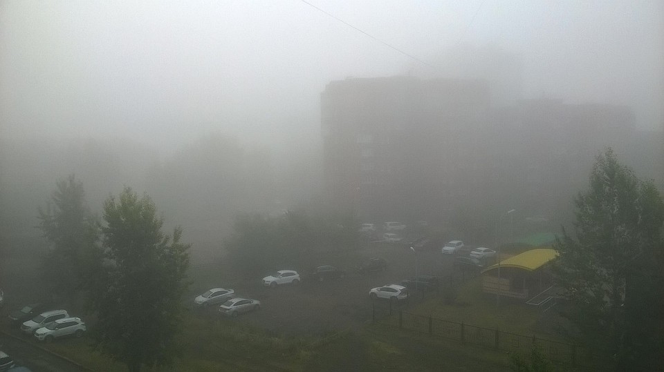 Фото: соцсети