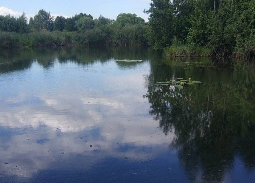Тело подняли со дна и доставили в морг