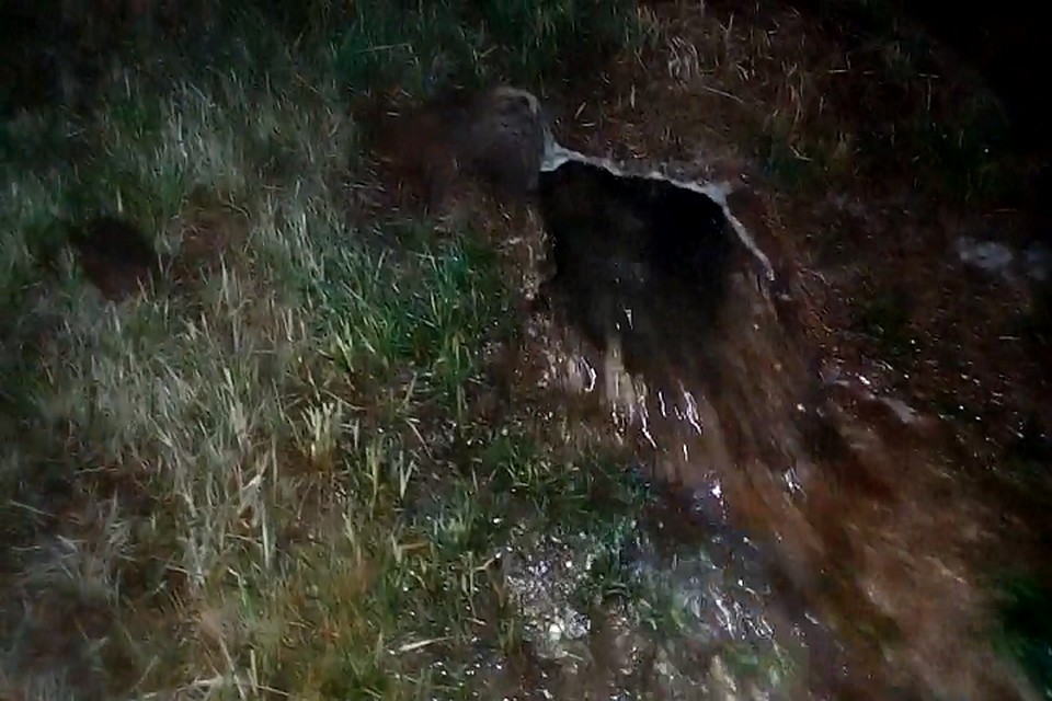 Вода из поврежденного поливочного водовода залила Центральную набережную. Фото: соцсети