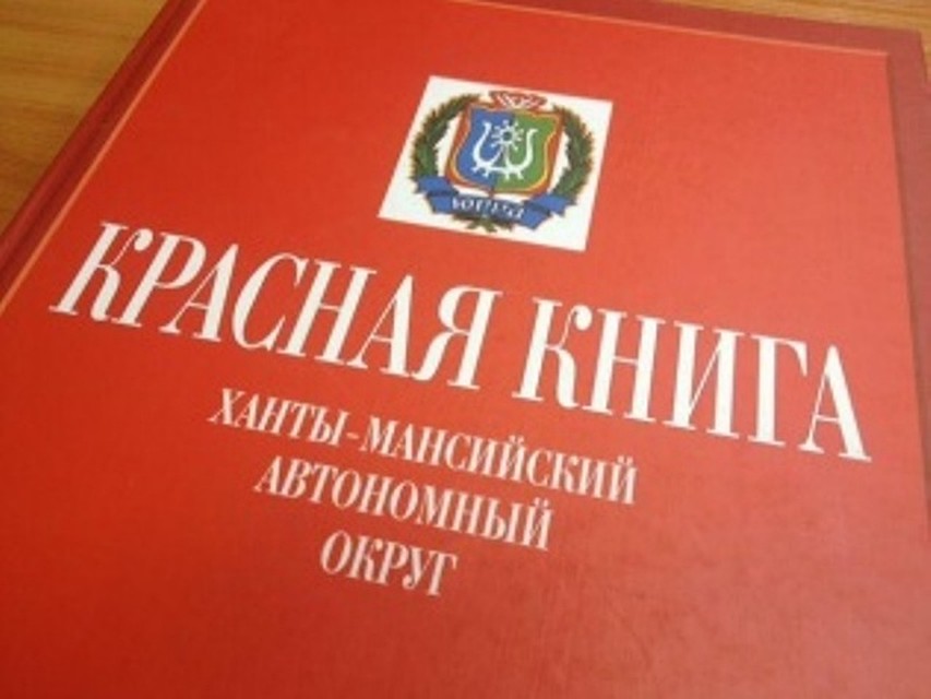 Фото с сайта прокуратуры ХМАО-Югры