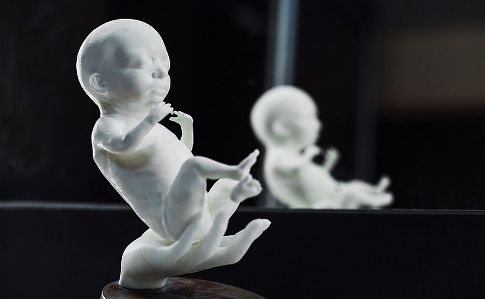 Фото: компания Embrio3d