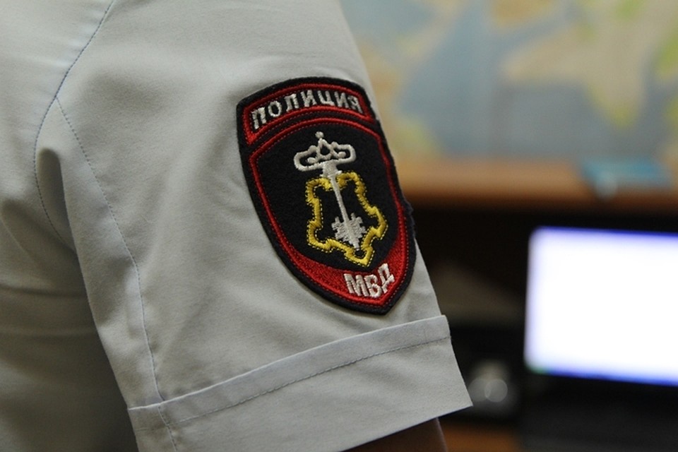 Ущерб лесному фонду на 130 тысяч рублей: черного лесоруба поймали в Бурятии. Ирина ЦИМБАЛИСТ