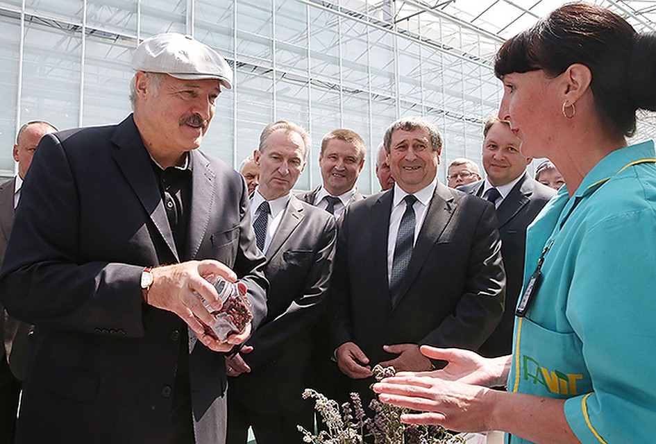 Лукашенко долетел до Гомеля. Фото:president.gov.by