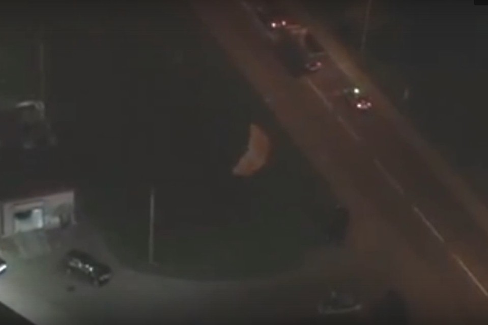Фото: скриншот видео.