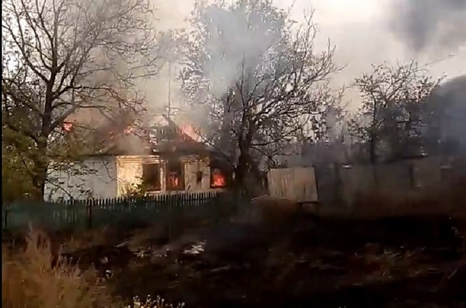 Фото: скриншот видео