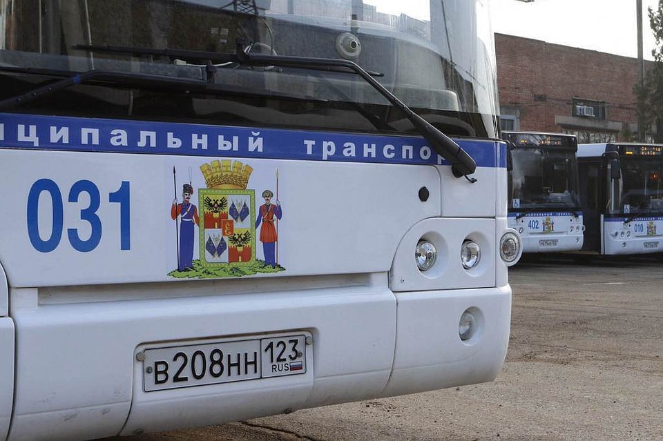 Фото: администрация Краснодара