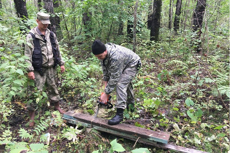 В заповеднике Хабаровского края нашли браконьерские ловушки