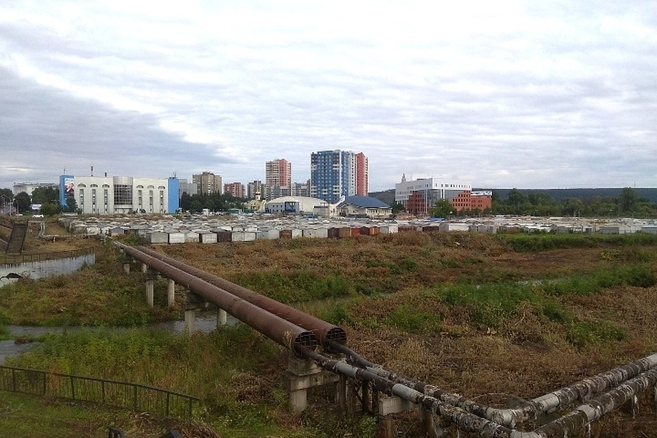 Совсем недалеко от центра города - дикие заросли берегов Искитимки
