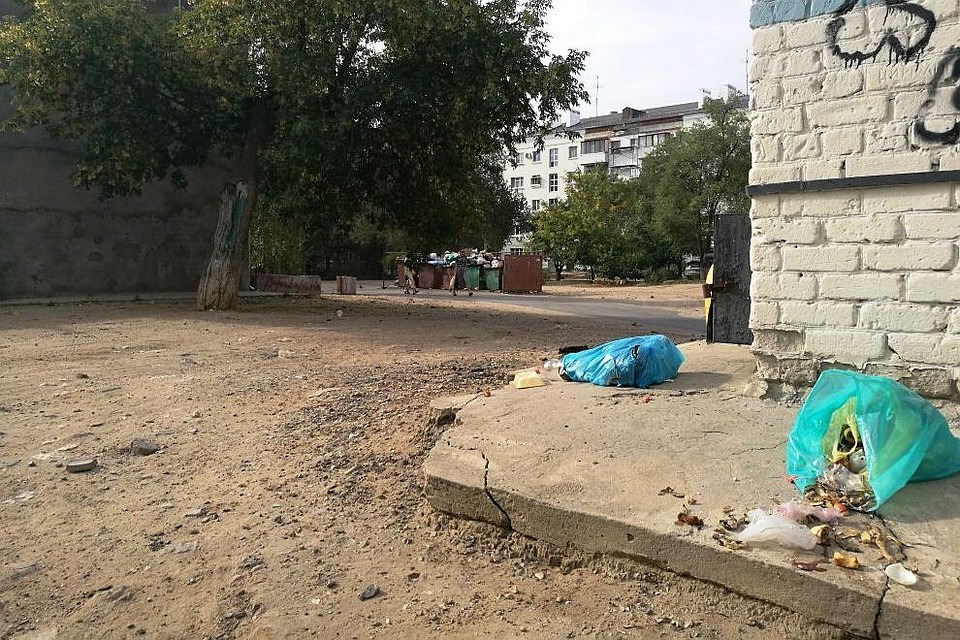 Такая картина, увы, не редкость.