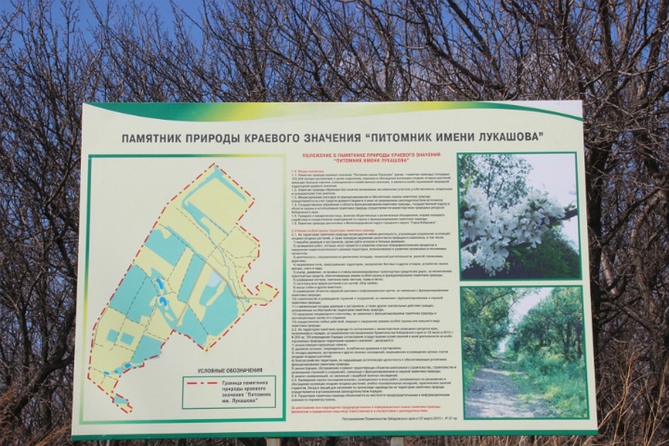 В Хабаровске собираются благоустроить территорию «Питомника имени Лукашова»