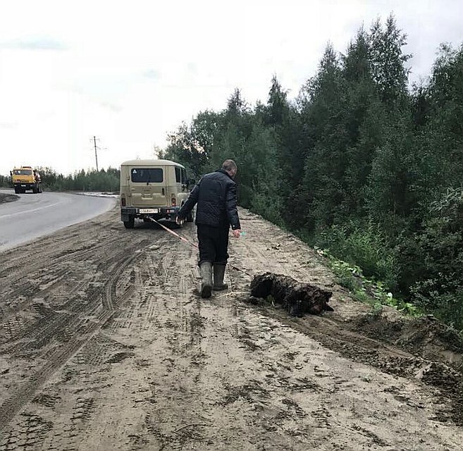 Фото: соцсети