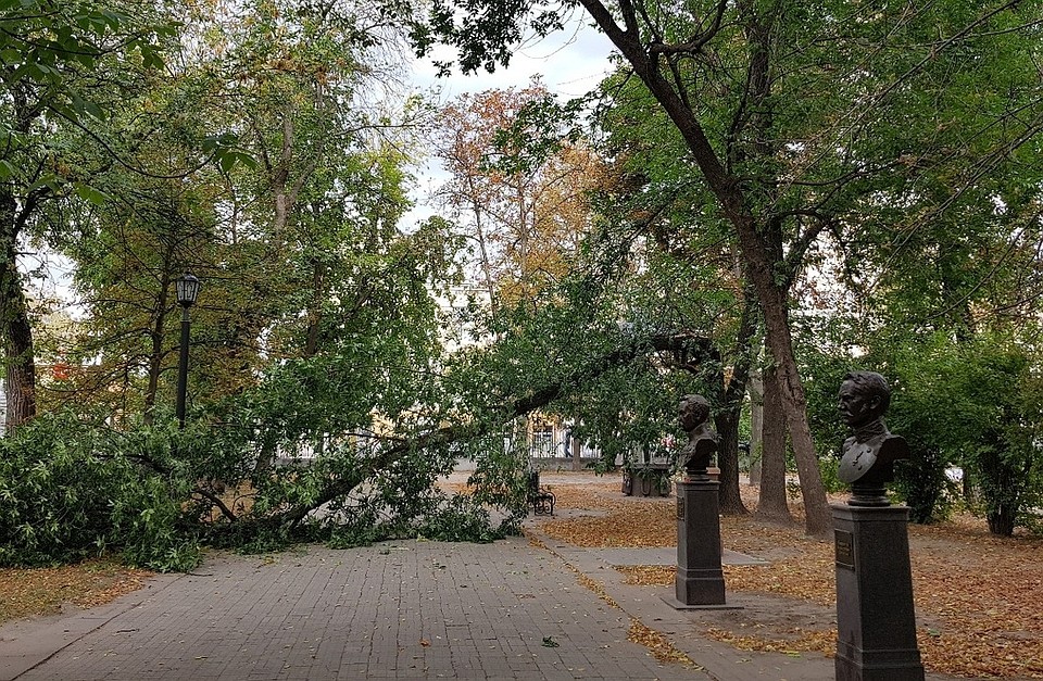 Фото: соцсети.