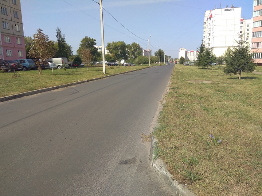 Фото с сайта ОНФ по Орловской области
