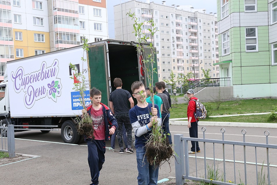 Всего благодаря проекту «Зеленая волна РУСАЛа» в Красноярске было высажено более 3500 деревьев.