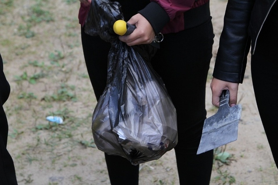 Рыбинские депутаты добровольно очистили город от своих агиток