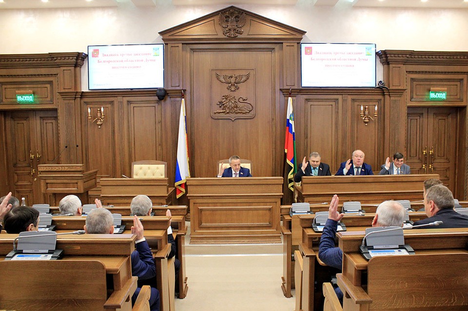 Фото: с сайта белгородской областной Думы