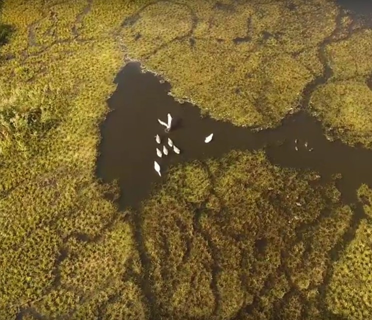 Скриншот видео