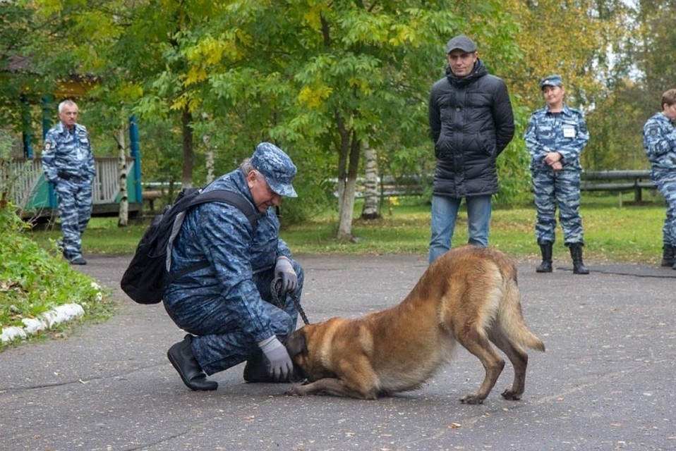 фото: пресс-служба УМВД России по Вологодской области.