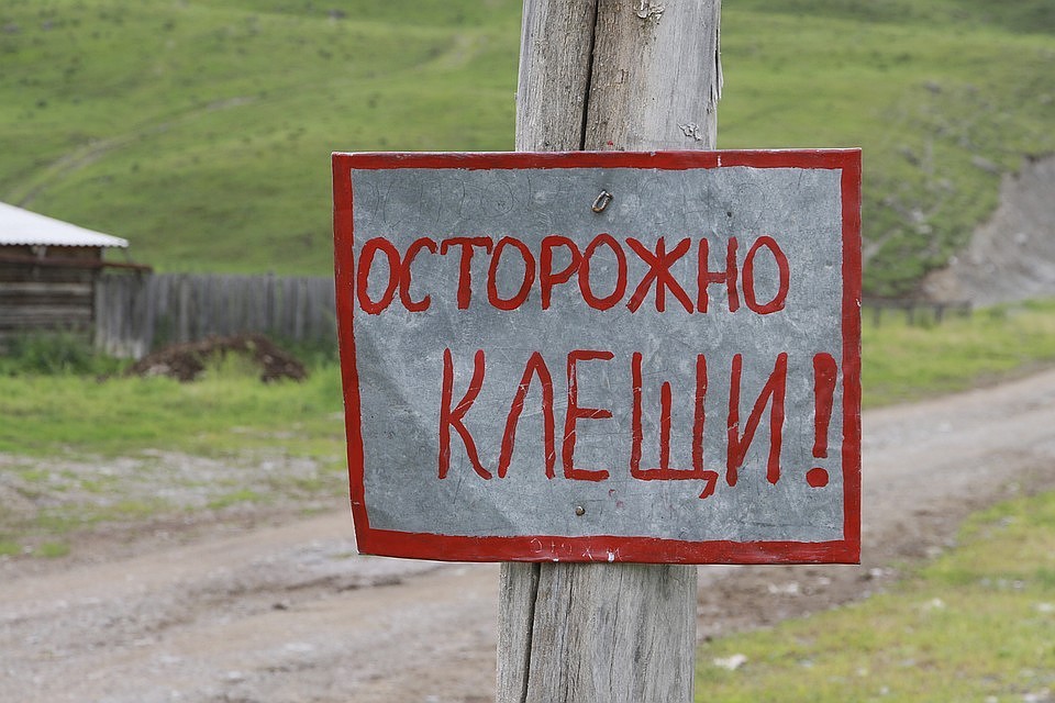 Фото: Олег УКЛАДОВ
