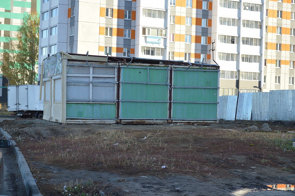 Фото: Кристина Романова.
