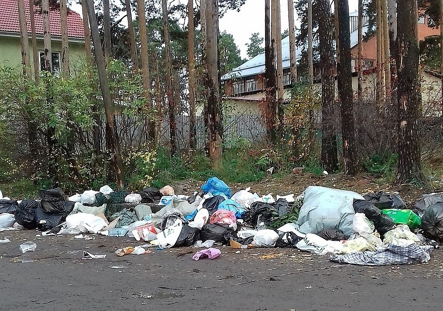 Фото: соцсети