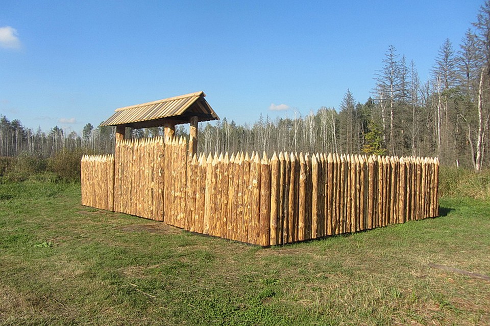Фото: Заповедник "Брянский лес".