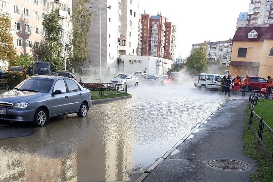 На Комендантском проспекте в Петербурге прорвало трубу отопления. Фото: vk.com/spb_today