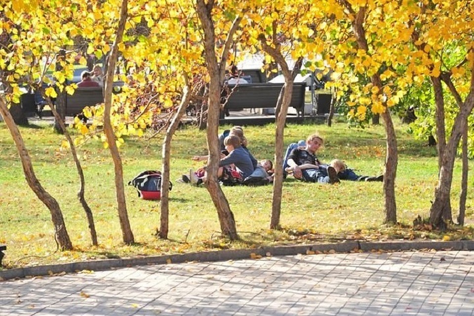 Ветер будет юго-восточный 3 метра в секунду.