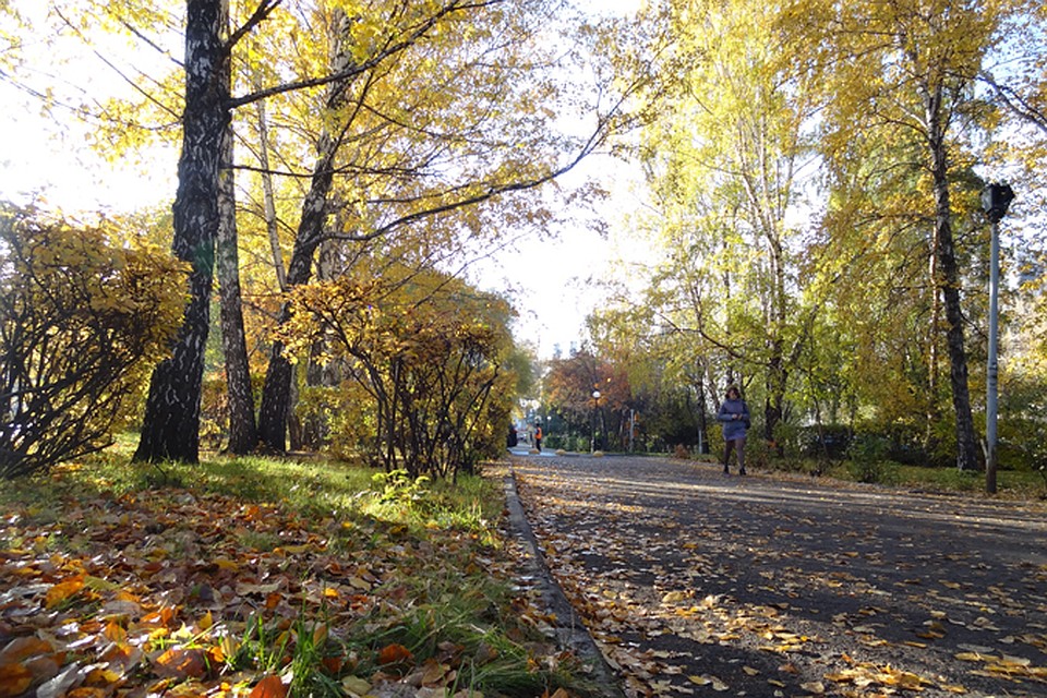 Суббота на Ямале в южной части округа будет тёплой