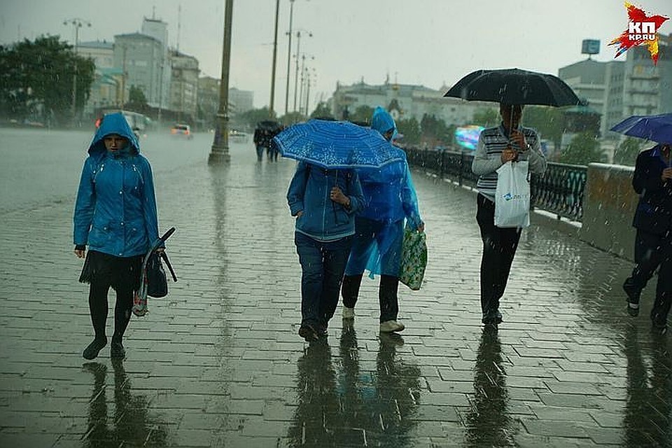 Не забывайте зонты дома в начале рабочей недели - ожидается дождь