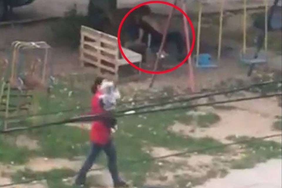 Фото: скриншот из видео Chisinau.fail