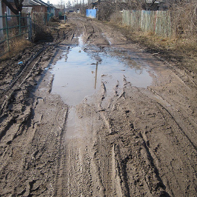 Фото: Елена Бубнова.