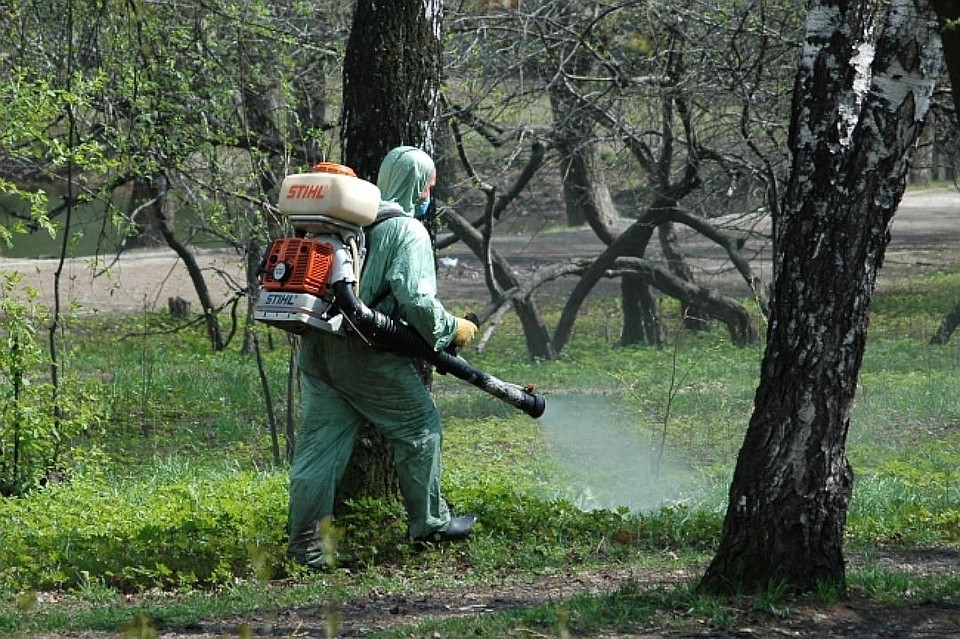 Число заболевших Крымской геморрагической лихорадкой снизилось.