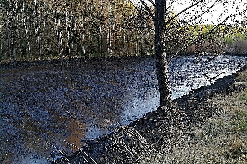 Фото: Анна Головина / facebook.com