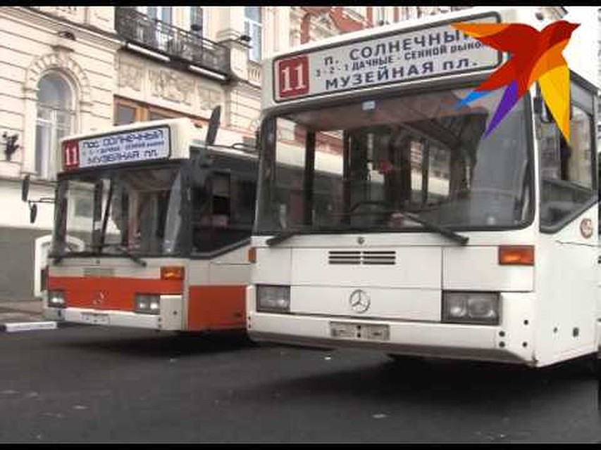 Все автобусы в Саратове работают без свидетельств на право перевозки пассажиров