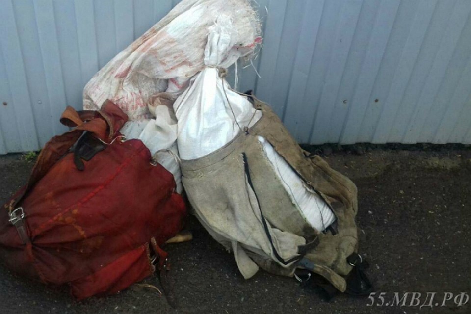 В Омской области ловили браконьера из-за трех мешков с лосятиной