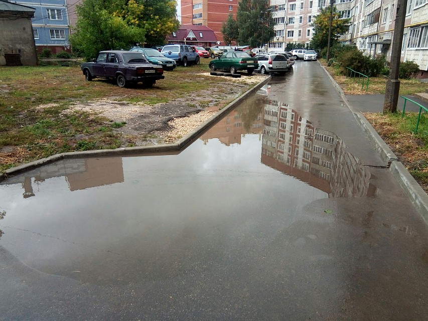 Фото: ОНФ.