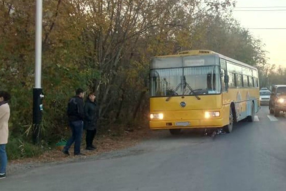 В Хабаровске пожилая велосипедистка врезалась в автобус