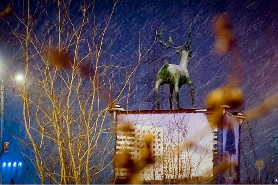 В Норильске вовсю метет. ФОто: Демьян БУЛАВИНЕЦ.