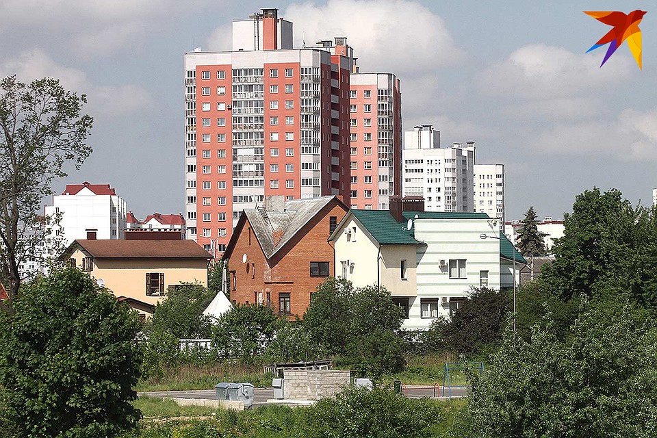 Завести в квартире кабана милая, но не лучшая идея.