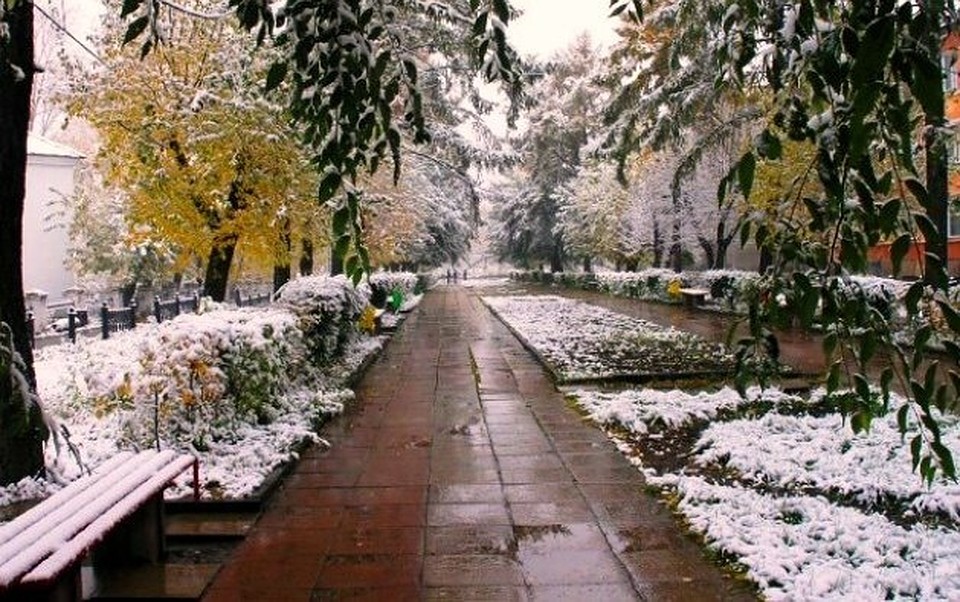 Самарцы весь день делятся фотографиями первого снега в соцсетях