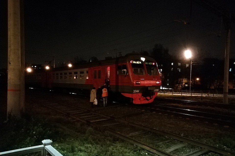 В Петербурге электрички до Белоострова ходили с задержкой из-за упавшего на состав дерева.