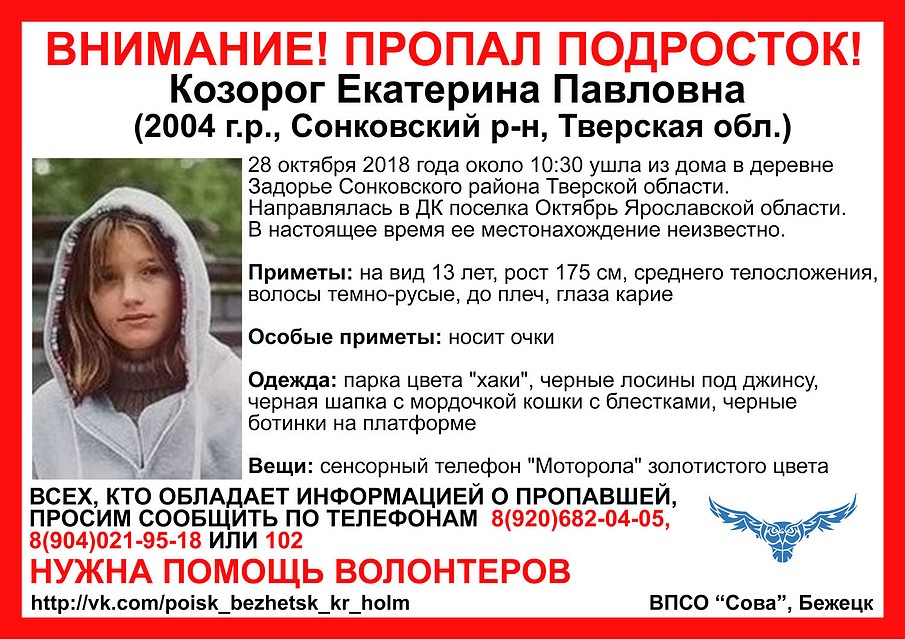 О местонахождении ребенка волонтеры просят сообщить по указанным телефонам. Фото: ВПСО "Сова"