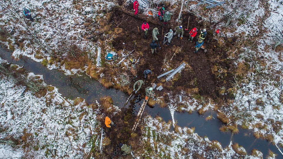 фото предоставлено Greenpeace. Автор - Юлия Петренко