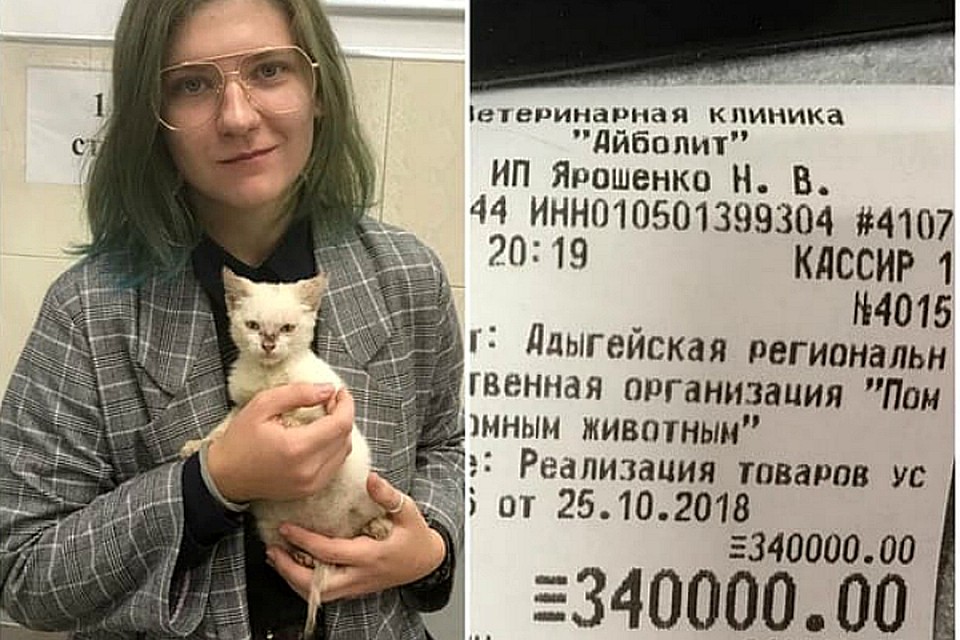 Ищут благодетельницу не только жители Краснодарского края и Адыгеи, но и всей страны.