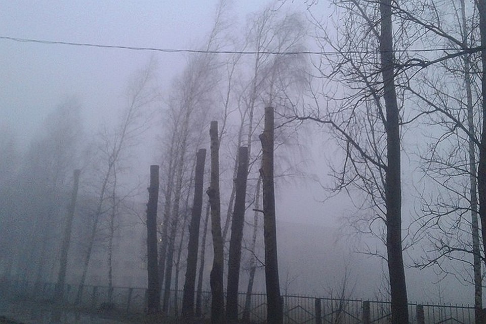 Теплая осень закончилась