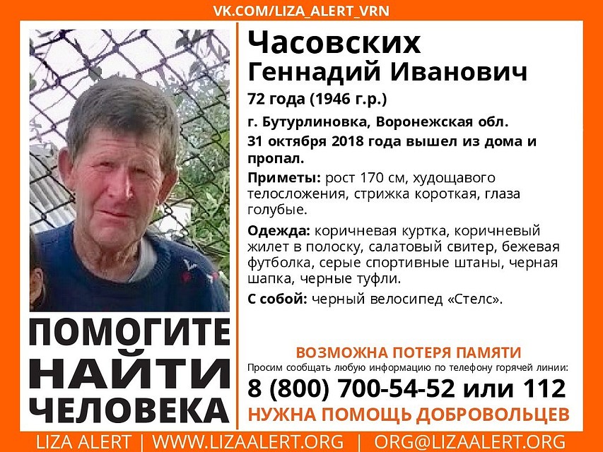 Ориентировка "Лиза Алерт"