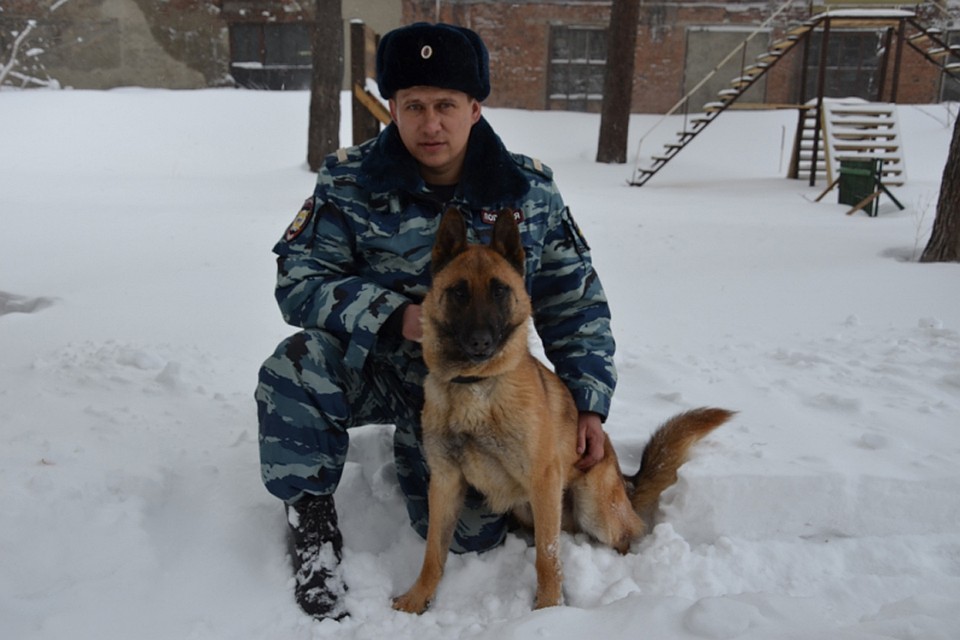 Пес Хард
