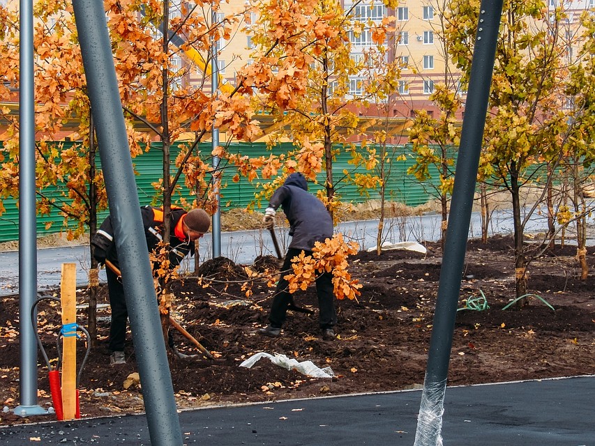 Фото пресс-службы администрации города Тюмени