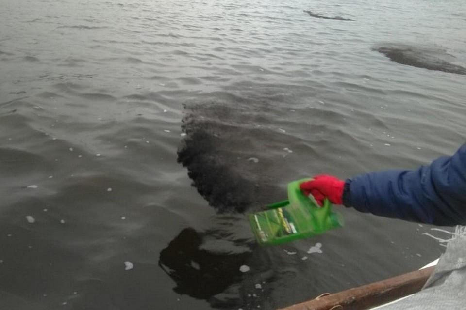 Вот таким сорбентом очищали воду